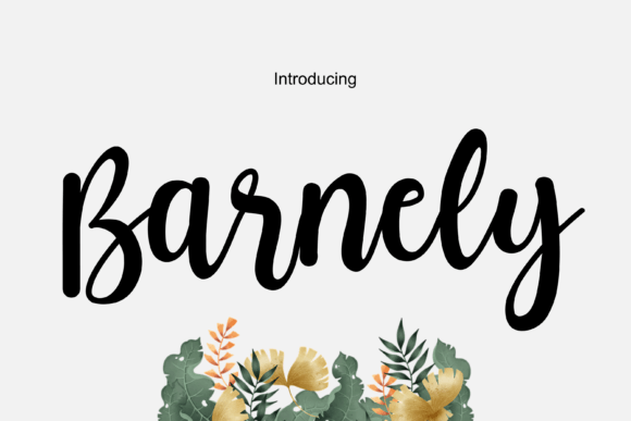 Barnely: A Fresh Handwritten Font for Modern Editorial Design