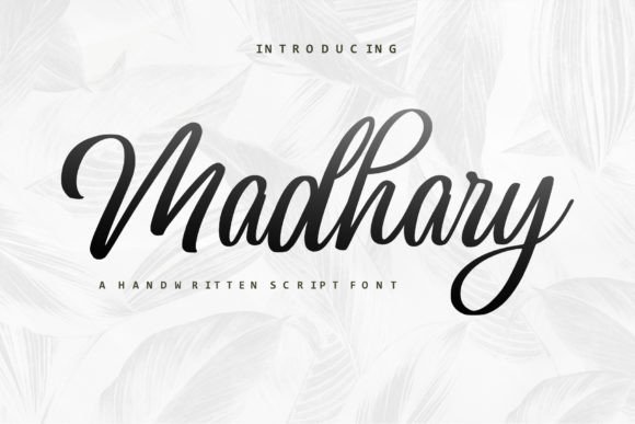How Choosing the Madhary Script Font Gave My Small Business a Polished Brand Look