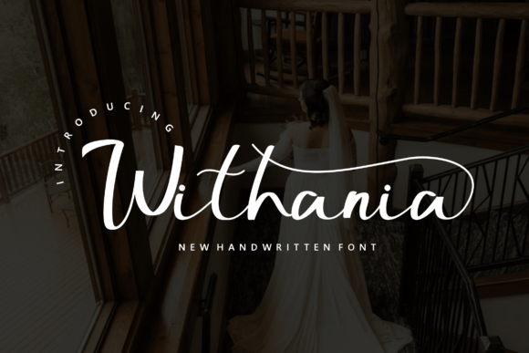 How Choosing the Right Font Transformed My Small Business Brand
