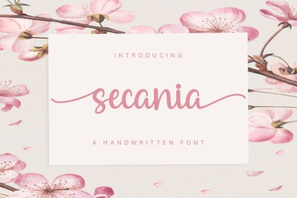 Secania: A Designer’s Take on Its Real-World Use