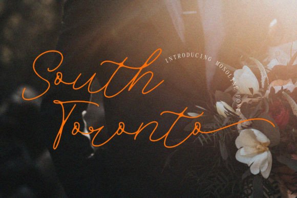 South Toronto: A Slim Script Font for Modern Branding Projects