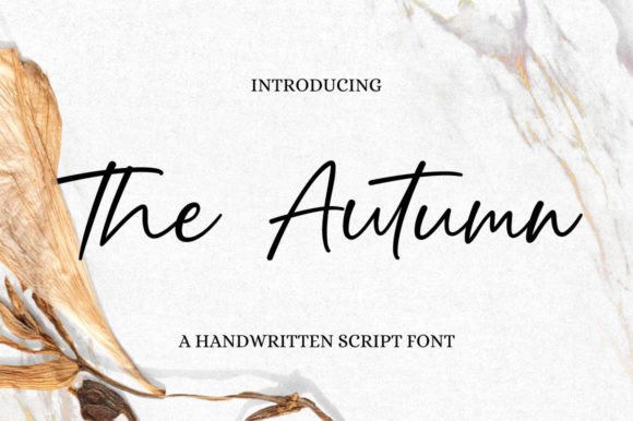 The Autumn: A Graceful Script Font for Modern Web Design